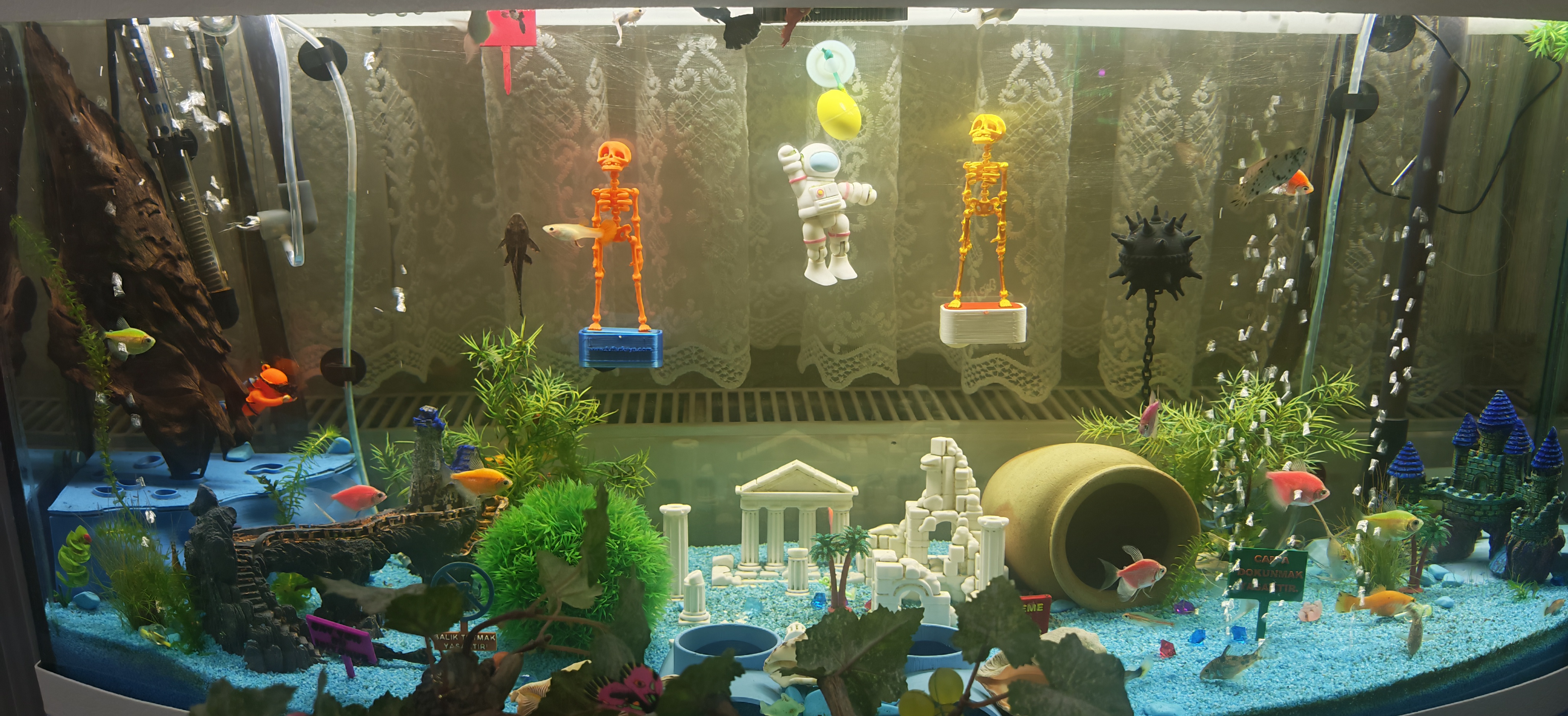 Akvaryum Ürünleri - Aquarium Products